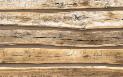 Red Oak vs White Oak: Which Is Right For You?