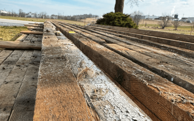 The Basics of Sustainable Wood & Reclaimed Lumber