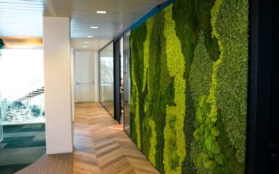Experience the Magic of Nature Through Biophilia Design